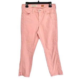 Anthropologie Pilcro and the Letterpress straight leg low rise jeans